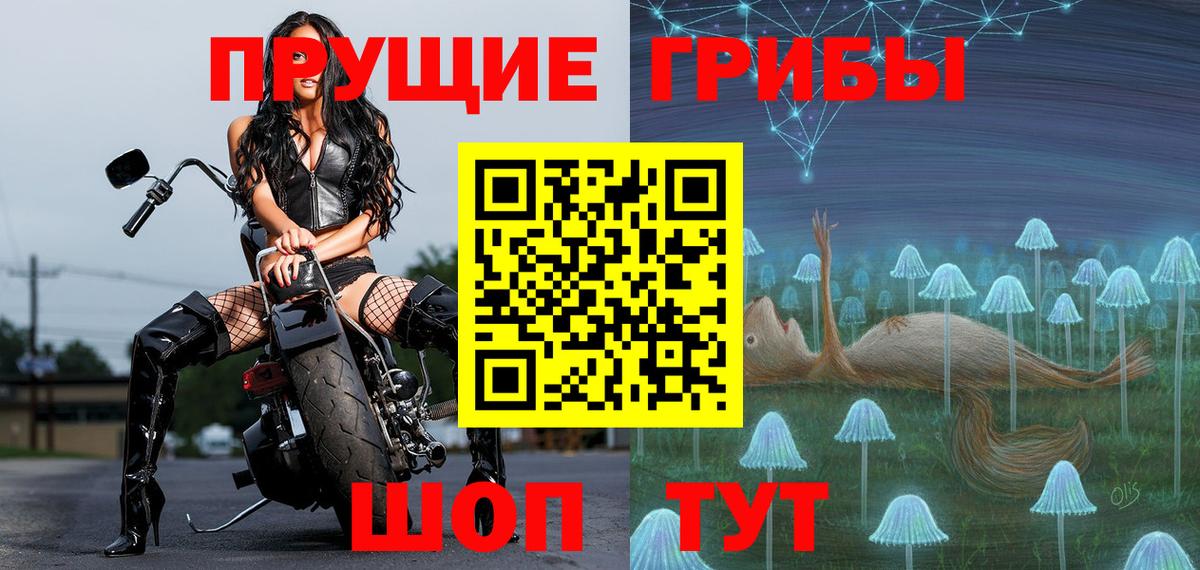 Лениногорск  Галлюциногенные грибы ЛСД  Вход с VPN 
