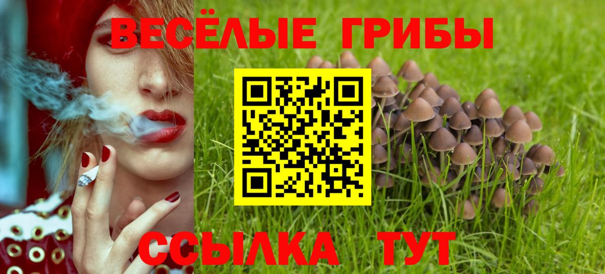 Галлюциногенные грибы прущие грибы Лениногорск